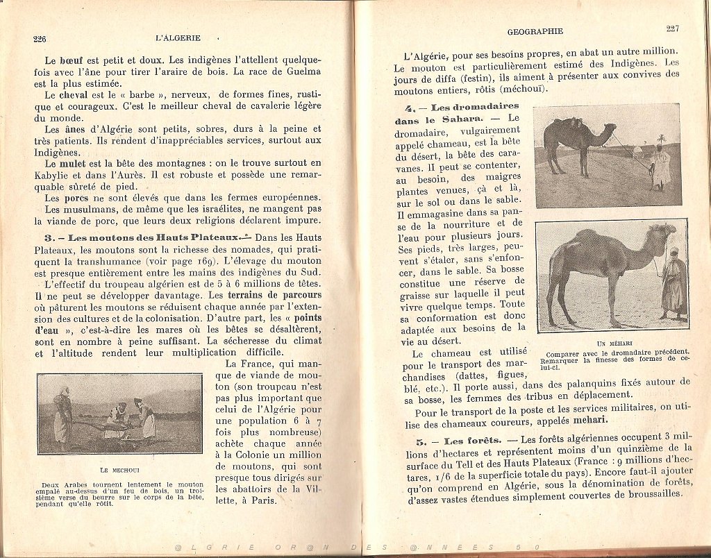 ALGERIE COURS HISTOIRE COLONISATION GEOGRAPHIE ADMINISTRATION  (117).jpg